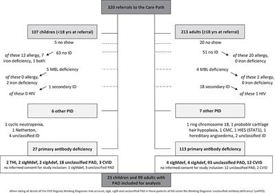 Mild Hypogammaglobulinemia Can Be a Serious Condition